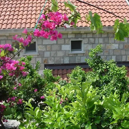 Azure - One Bedroom Mirta Saplunara